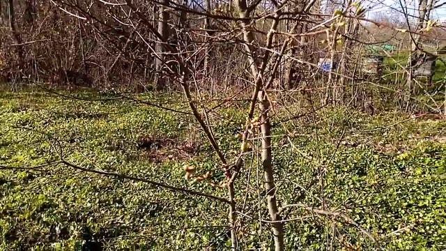 1 мая: работа кипит! смотреть онлайн