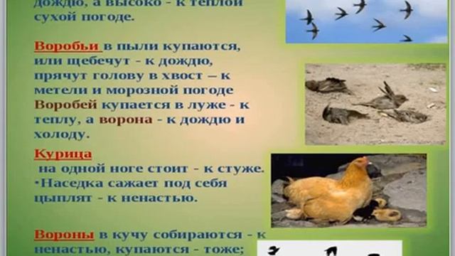 Основи здоров'я. Стихійні лиха. 5 клас смотреть онлайн