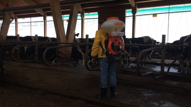Обработка раствором диоксида хлора на молочной ферме смотреть онлайн