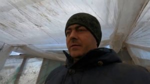 Как получить урожай картофеля в марте, что нужно сделать?