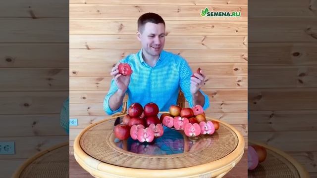 1 1 Яблоки с красной мякотью 1080х1080 смотреть онлайн