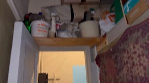 Как живут в коммуналках в 2022 году? Санкт-Петербург.