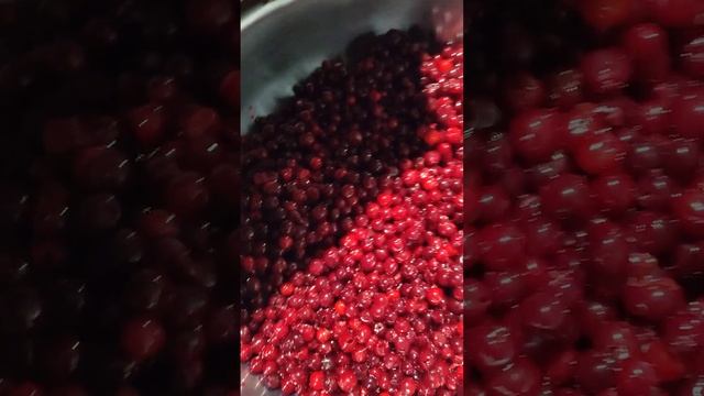 Выбивание косточки из вишни на машине GLOTTER-METALL смотреть онлайн