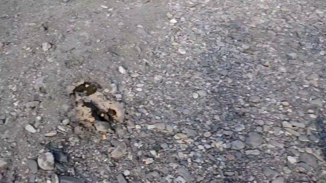 Река Белая в заповеднике Шульганташ смотреть онлайн