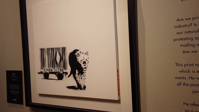Moco Museum Amsterdam Banksy Exhibit 2019 смотреть онлайн