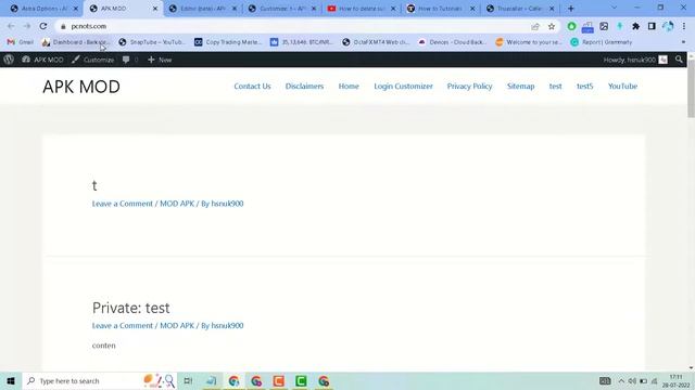 reset customizer settings for the Astra theme in a single click смотреть онлайн