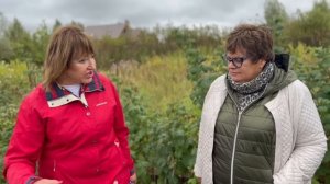 ТАКИХ ФЛОКСОВ ВЫ ЕЩЁ НЕ ВИДЕЛИ | ОБЗОР ФЛОКСОВ ЕЛЕНЫ КОНСТАНТИНОВОЙ