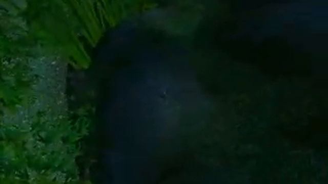 Satellite Tribute - WoW Level 60 смотреть онлайн