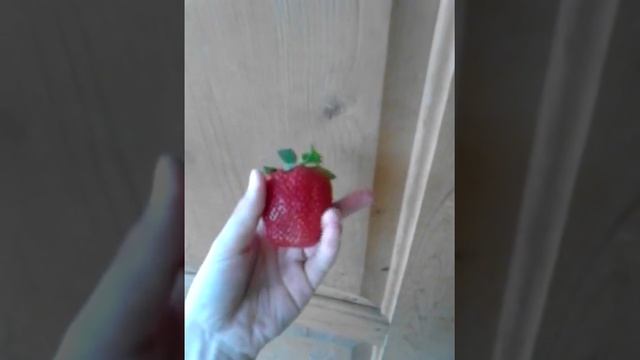 Самая большая клубника в мире!!! смотреть онлайн