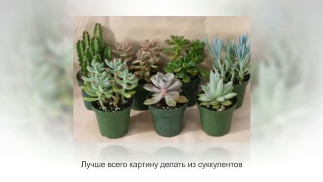 Настенные цветочные композиции: фитокартины своими руками мастер-класс смотреть онлайн