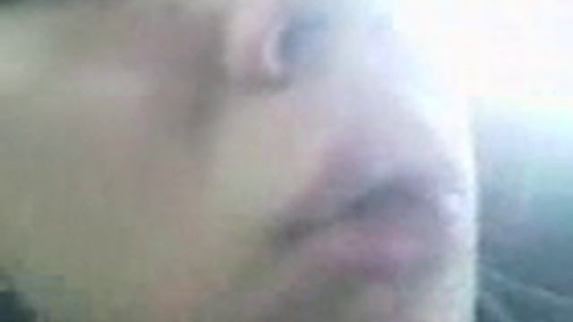 губки динозаврика смотреть онлайн