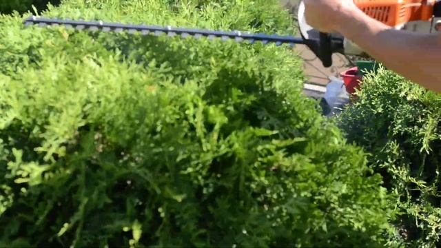 "Блисто". Стрижка хвойных растений смотреть онлайн