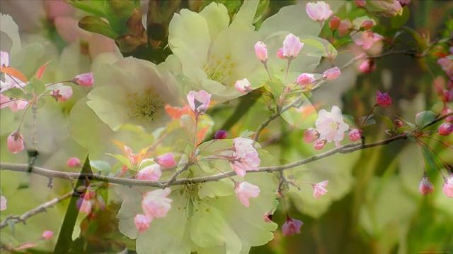 Механизм телепатического общения между людьми.