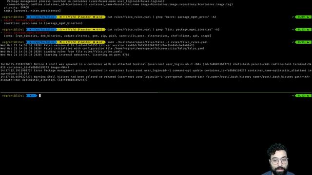 Bypass Falco - Launch Package Management Process in Container смотреть онлайн
