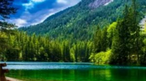 ?Истории из жизни?Увольняйся, зачем ты мне с прицепом   сказал начальник?Жизненные истории