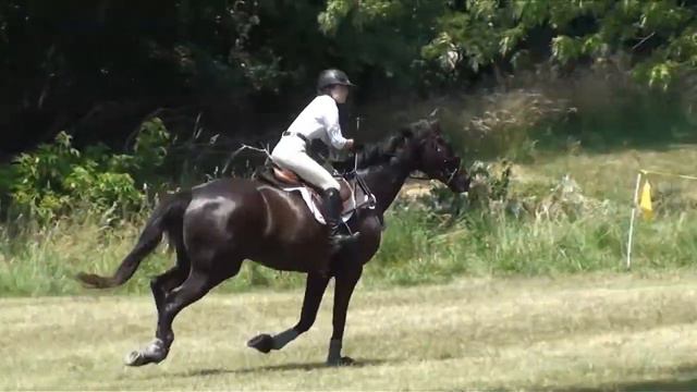 Kristen Gallo & Tiamo Fox River Valley Horse Trials June 2012 смотреть онлайн