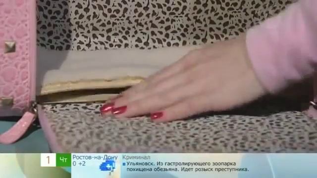 Сумки переноски для кошек смотреть онлайн