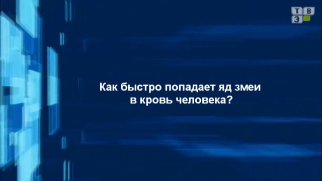 Ответ Эксперта - Максим Жуков (28.07.15) смотреть онлайн