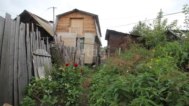 11435681 смотреть онлайн