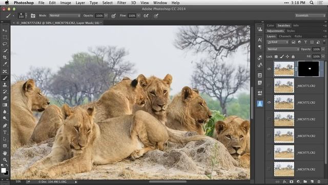 Photoshop Tutorial: Auto-Align Layers смотреть онлайн