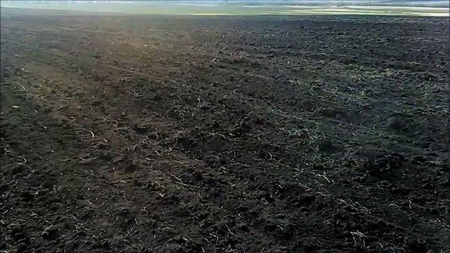 Пары без использования химии. Часть вторая. Весна.