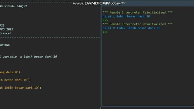apa itu IF, ELSE, ELIF dan LOOPING pada Python ? смотреть онлайн