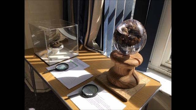 NATIONAL POO MUSEUM. ПРИКОЛЬНО! МУЗЕЙ КАКАШЕК ОТКРЫЛСЯ НА ОСТРОВЕ. смотреть онлайн