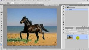 Выделение объекта в фотошопе | Как научиться выделять