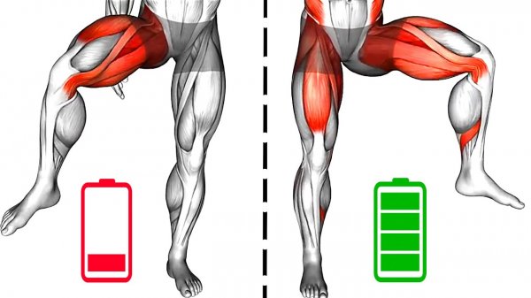11 Упражнений для Увеличения Тазового Кровотока
