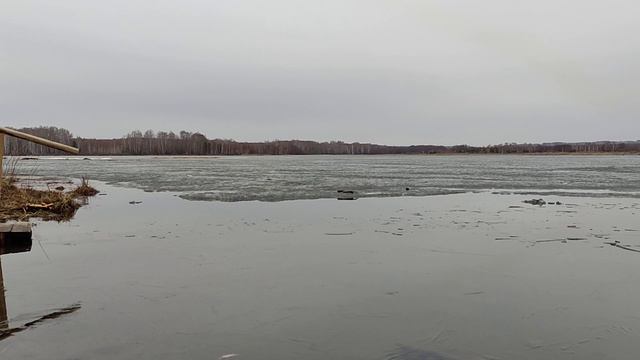 Закаливание моржевание зимнее плавание. 20.04.2022г. смотреть онлайн