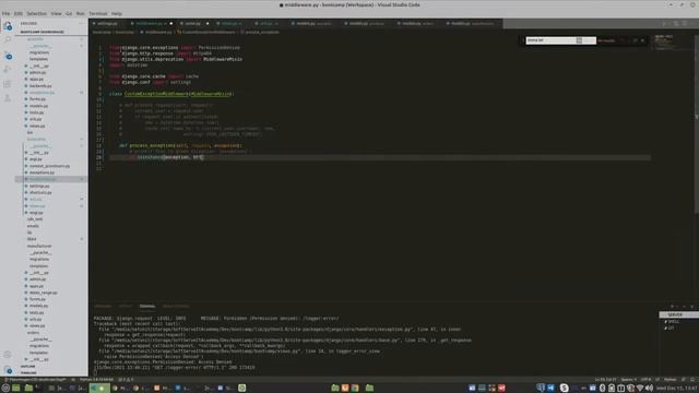 Django Media Files, Debug & Exceptions + Description (Milestone 10 & 11) смотреть онлайн