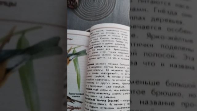 влог с басиком и Лили/Басик Заболел ???? смотреть онлайн