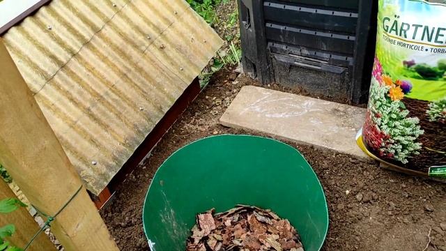 Посадка голубики на даче в Германии !100 % результ. смотреть онлайн