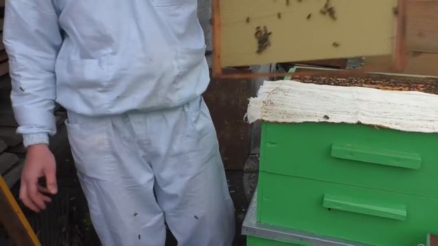 Секреты тихой смены матки. Метод Лонина смотреть онлайн