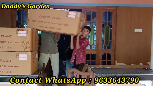 Arrived Orchid plants from Taiwan... смотреть онлайн