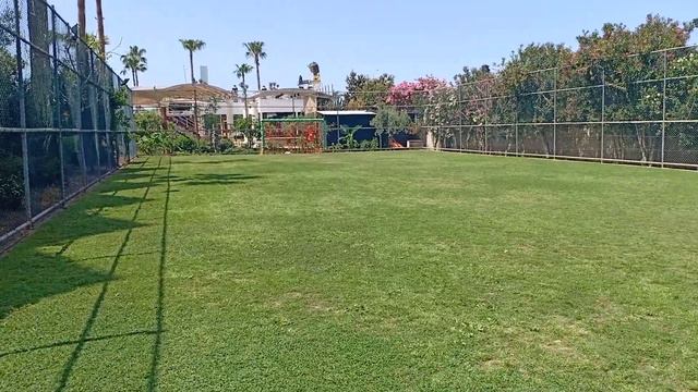 Турция, отель beach club doganay, май 2023 смотреть онлайн