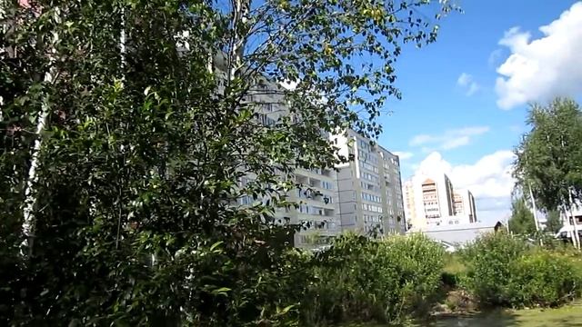 За грибами в Тюмени- 99972.ru Тюмень объявления смотреть онлайн