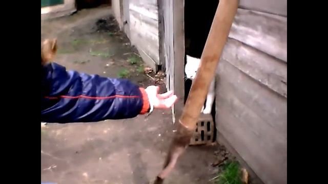 Vlog\\❀КАК ЖЕ ТУТ МНОГО КОТИКОВ !❀ смотреть онлайн