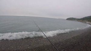 Рыбалка на черном море. Ловля на бомбарду.