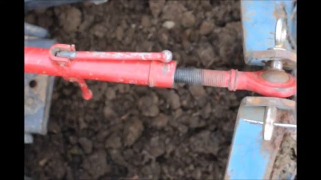EZ to grow October Glory Maple Trees смотреть онлайн