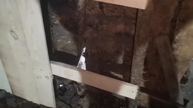 Поросята / Жизнь в деревне смотреть онлайн
