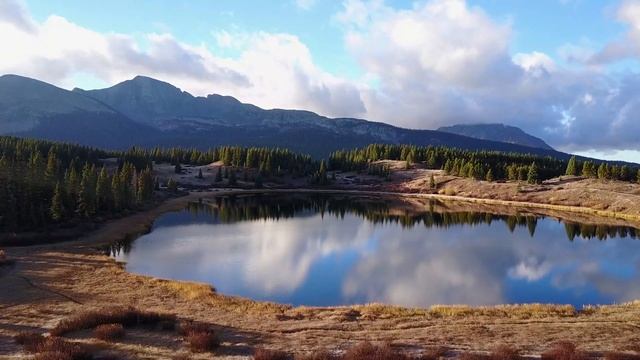 Волчья стая вышла на дорогу по которой шла школьница смотреть онлайн