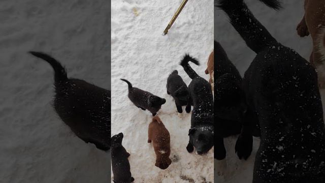 вот нам уже 2 месяца и 5 дней и мы очень красивые смотреть онлайн