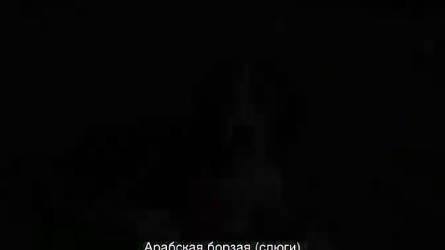 Борзая собака: гончие охотничьи виды пород смотреть онлайн