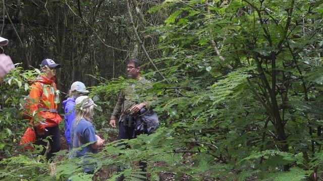 Video 0 to Hero 8 Jungle Testing Sony PXW-Z150 and Sennheiser MKH-416 Drake Bay Corcovado Costa Ric смотреть онлайн