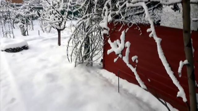 К нам на Дон пришла зима. смотреть онлайн