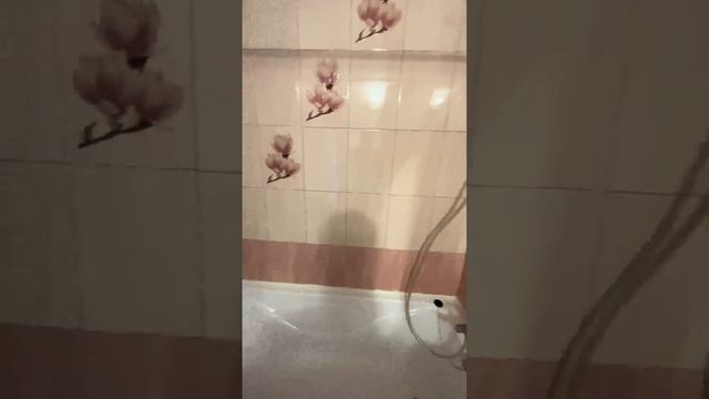 Аренда 1-комнатной квартиры в ЖК Новая Каменка. Адрес: СПб, пр. Комендантский , д.57, к.2 смотреть онлайн