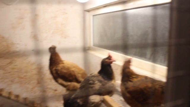 Рисование Мультяшных Персонажей