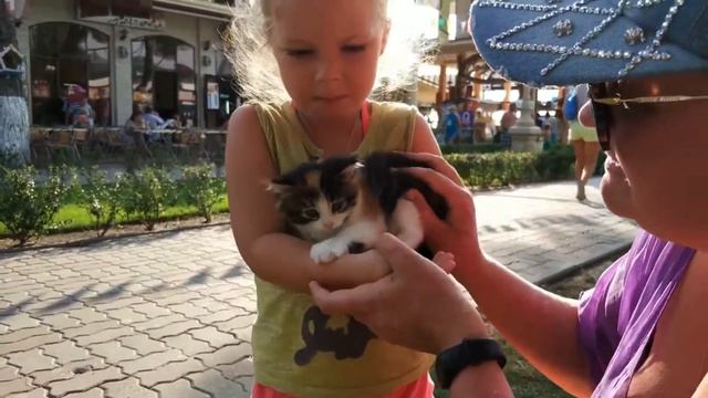 кошечка и котёнок \ kitty and kitten смотреть онлайн