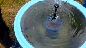 РАЗВЕДЕНИЕ КАРПОВ! Пруд своими руками | Выращивание карпа